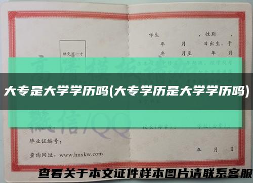 大专是大学学历吗(大专学历是大学学历吗)缩略图