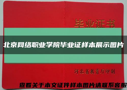 北京网络职业学院毕业证样本展示图片缩略图