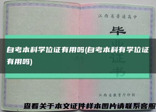 自考本科学位证有用吗(自考本科有学位证有用吗)缩略图
