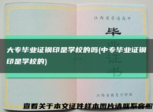 大专毕业证钢印是学校的吗(中专毕业证钢印是学校的)缩略图