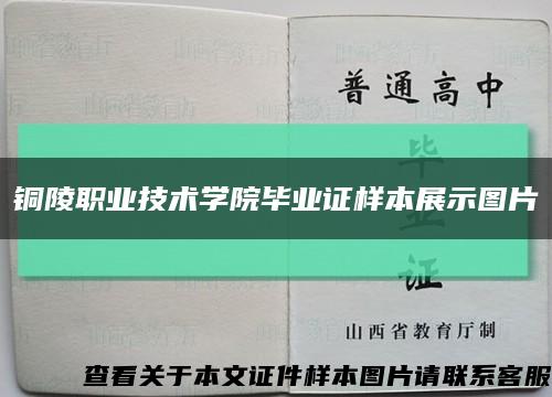 铜陵职业技术学院毕业证样本展示图片缩略图