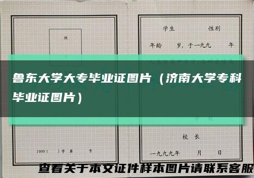鲁东大学大专毕业证图片（济南大学专科毕业证图片）缩略图