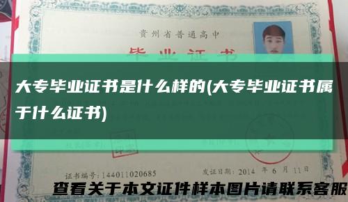 大专毕业证书是什么样的(大专毕业证书属于什么证书)缩略图