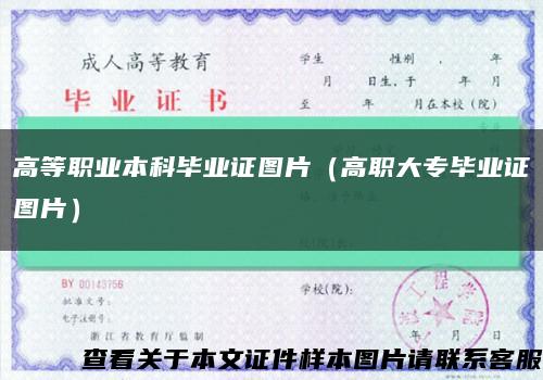 高等职业本科毕业证图片（高职大专毕业证图片）缩略图