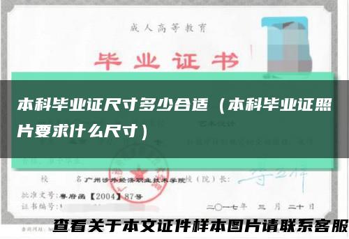 本科毕业证尺寸多少合适（本科毕业证照片要求什么尺寸）缩略图