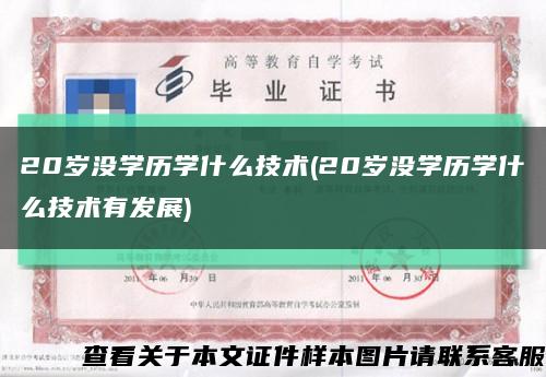 20岁没学历学什么技术(20岁没学历学什么技术有发展)缩略图
