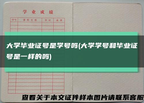 大学毕业证号是学号吗(大学学号和毕业证号是一样的吗)缩略图