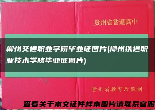 柳州交通职业学院毕业证图片(柳州铁道职业技术学院毕业证图片)缩略图