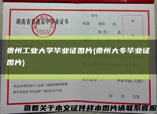 贵州工业大学毕业证图片(贵州大专毕业证图片)缩略图