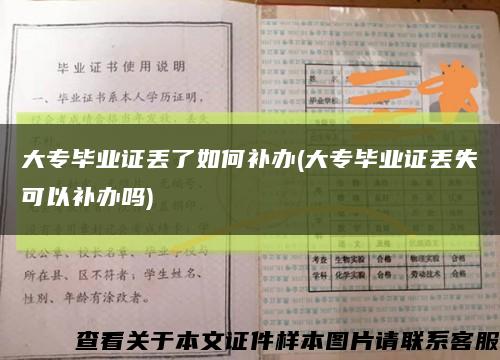 大专毕业证丢了如何补办(大专毕业证丢失可以补办吗)缩略图