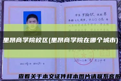 里昂商学院校区(里昂商学院在哪个城市)缩略图