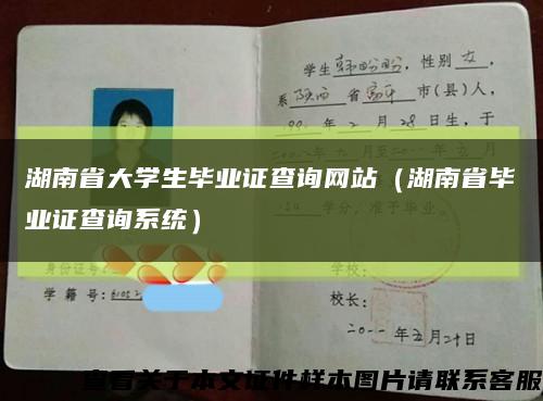 湖南省大学生毕业证查询网站（湖南省毕业证查询系统）缩略图