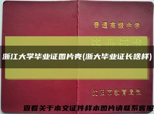 浙江大学毕业证图片壳(浙大毕业证长啥样)缩略图