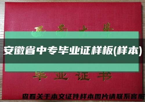 安徽省中专毕业证样板(样本)缩略图