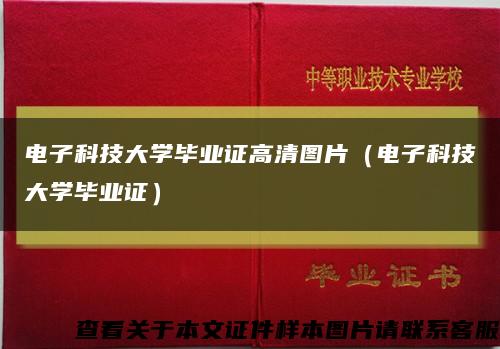 电子科技大学毕业证高清图片（电子科技大学毕业证）缩略图