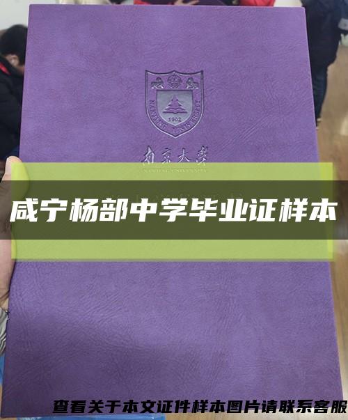 咸宁杨部中学毕业证样本缩略图