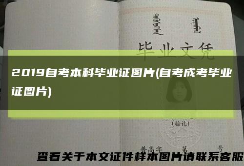 2019自考本科毕业证图片(自考成考毕业证图片)缩略图