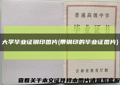大学毕业证钢印图片(带钢印的毕业证图片)缩略图