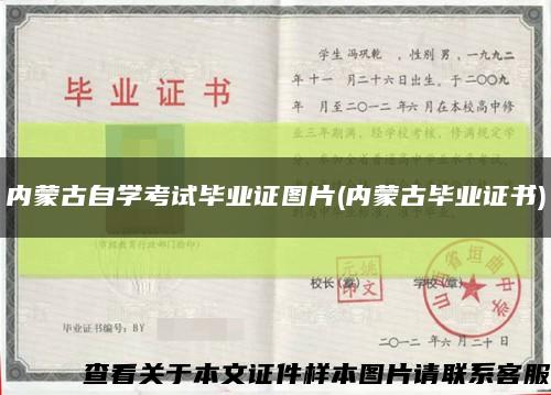 内蒙古自学考试毕业证图片(内蒙古毕业证书)缩略图