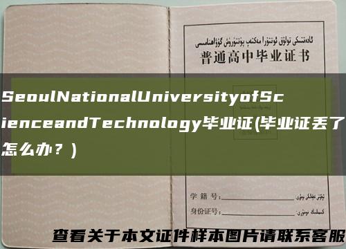 SeoulNationalUniversityofScienceandTechnology毕业证(毕业证丢了怎么办？)缩略图