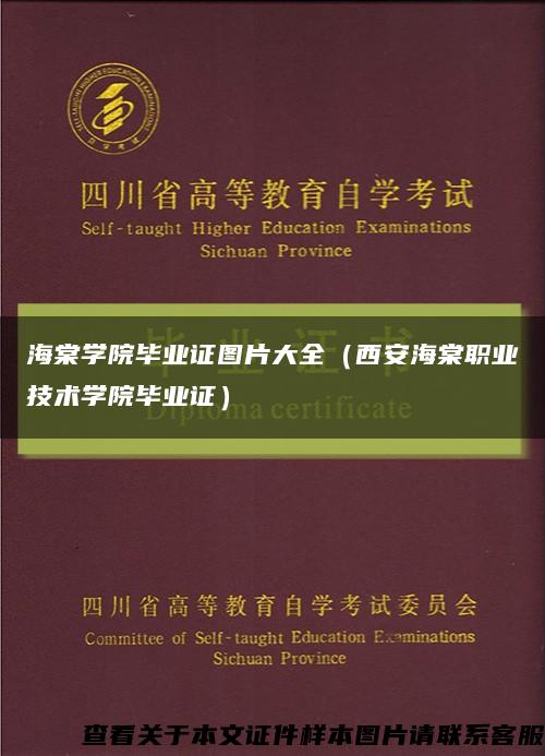 海棠学院毕业证图片大全（西安海棠职业技术学院毕业证）缩略图