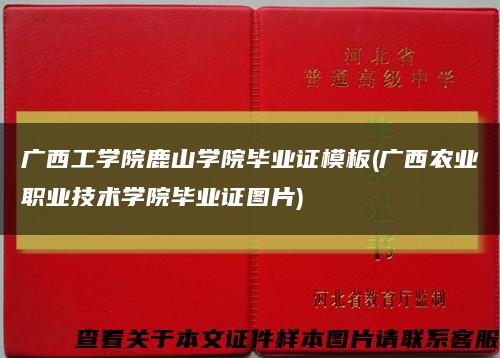 广西工学院鹿山学院毕业证模板(广西农业职业技术学院毕业证图片)缩略图