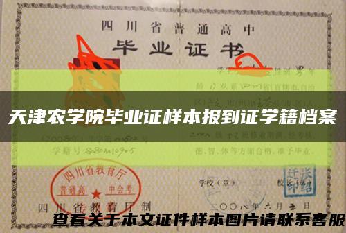 天津农学院毕业证样本报到证学籍档案缩略图