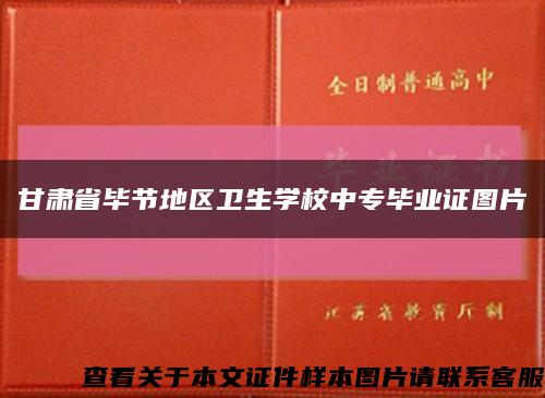 甘肃省毕节地区卫生学校中专毕业证图片缩略图