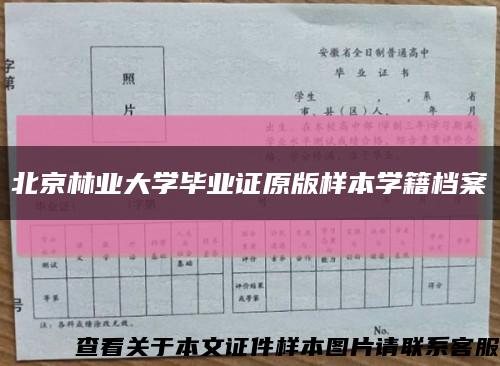北京林业大学毕业证原版样本学籍档案缩略图