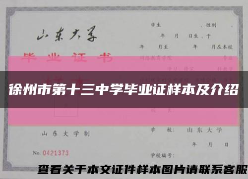 徐州市第十三中学毕业证样本及介绍缩略图