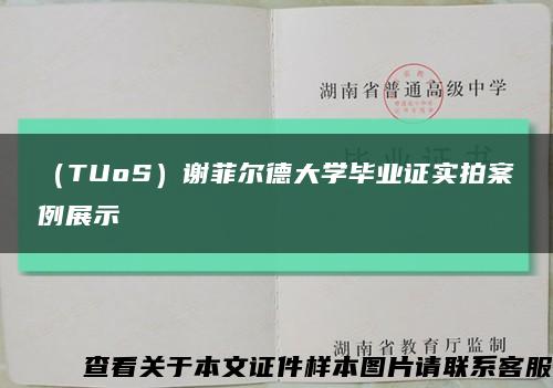 （TUoS）谢菲尔德大学毕业证实拍案例展示缩略图