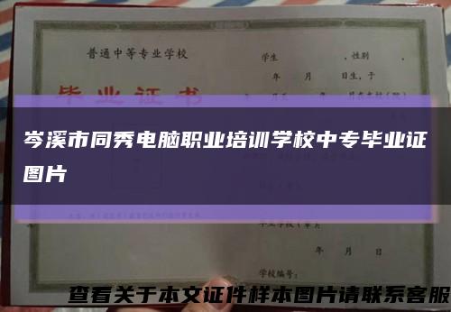 岑溪市同秀电脑职业培训学校中专毕业证图片缩略图