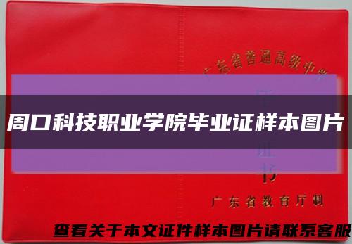 周口科技职业学院毕业证样本图片缩略图