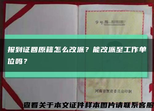 报到证回原籍怎么改派？能改派至工作单位吗？缩略图