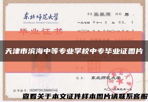 天津市滨海中等专业学校中专毕业证图片缩略图