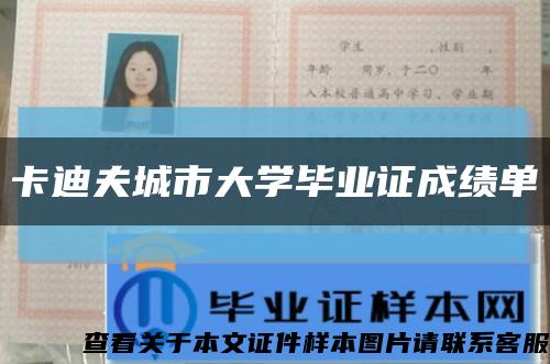 卡迪夫城市大学毕业证成绩单缩略图