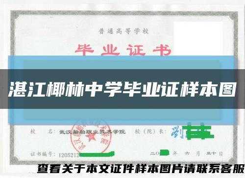 湛江椰林中学毕业证样本图缩略图