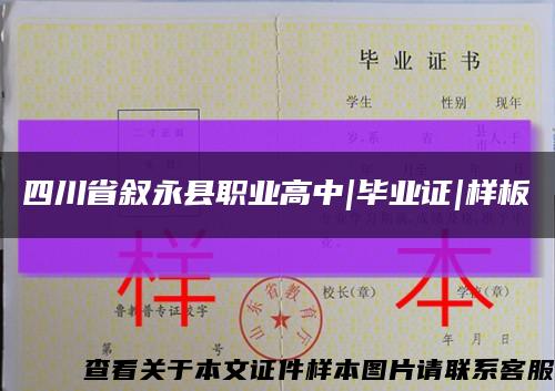 四川省叙永县职业高中|毕业证|样板缩略图
