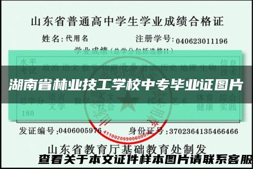 湖南省林业技工学校中专毕业证图片缩略图