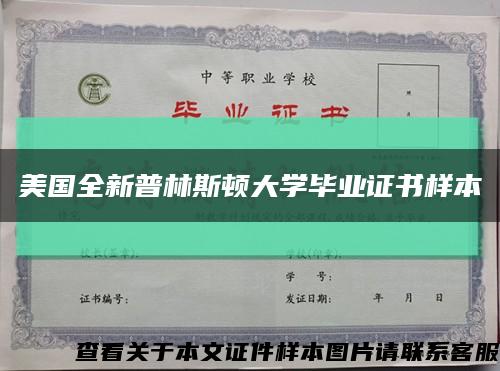 美国全新普林斯顿大学毕业证书样本缩略图