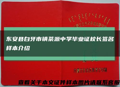东安县白牙市镇茶源中学毕业证校长签名样本介绍缩略图