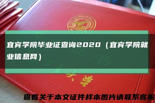 宜宾学院毕业证查询2020（宜宾学院就业信息网）缩略图