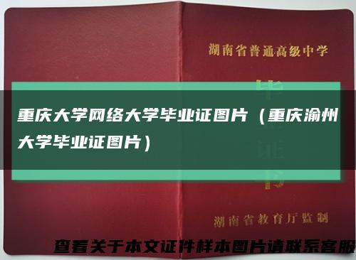 重庆大学网络大学毕业证图片（重庆渝州大学毕业证图片）缩略图