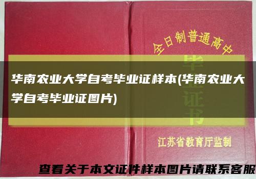 华南农业大学自考毕业证样本(华南农业大学自考毕业证图片)缩略图
