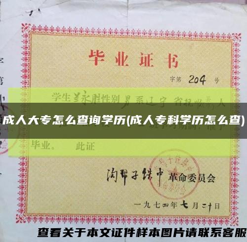 成人大专怎么查询学历(成人专科学历怎么查)缩略图