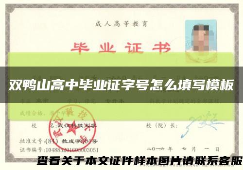 双鸭山高中毕业证字号怎么填写模板缩略图