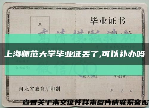 上海师范大学毕业证丢了,可以补办吗缩略图