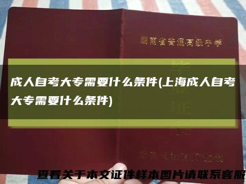 成人自考大专需要什么条件(上海成人自考大专需要什么条件)缩略图