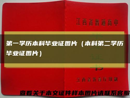 第一学历本科毕业证图片（本科第二学历毕业证图片）缩略图