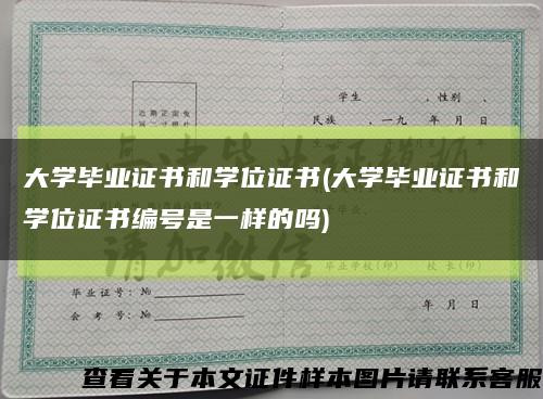 大学毕业证书和学位证书(大学毕业证书和学位证书编号是一样的吗)缩略图